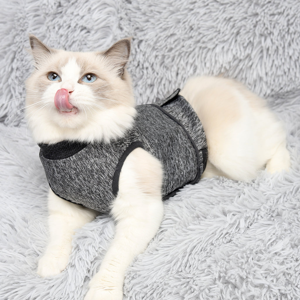 A ragdoll cat wearing the charcoal Storm Kit for Cats wrap