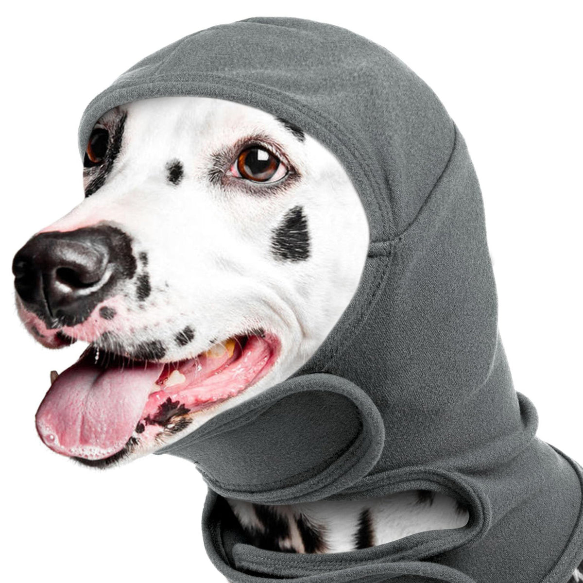 A Dalmatian wearing the grey Quiet Hood over its ears