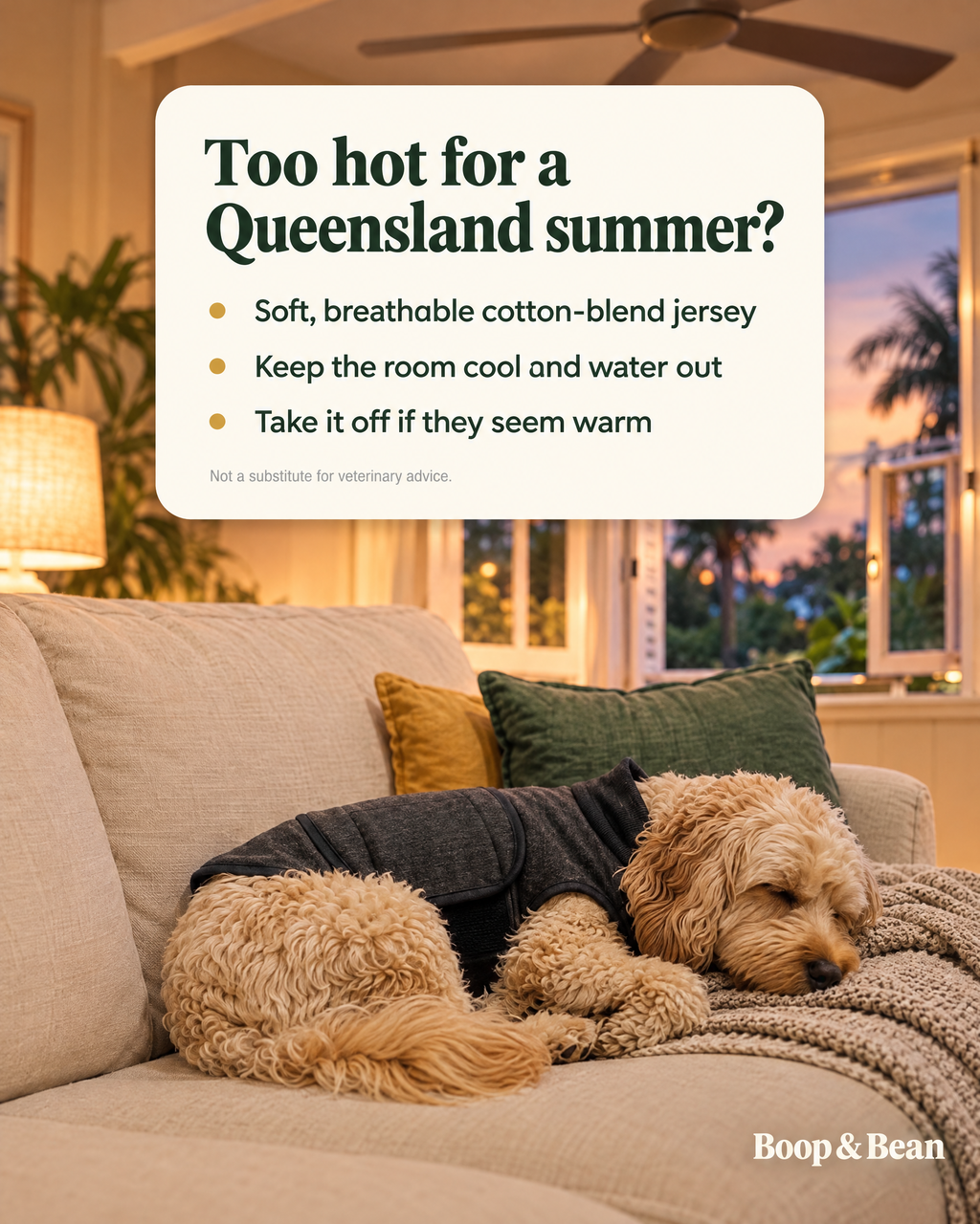 Too hot for a Queensland summer? Breathable cotton-blend jersey; keep the room cool and take it off if they seem warm