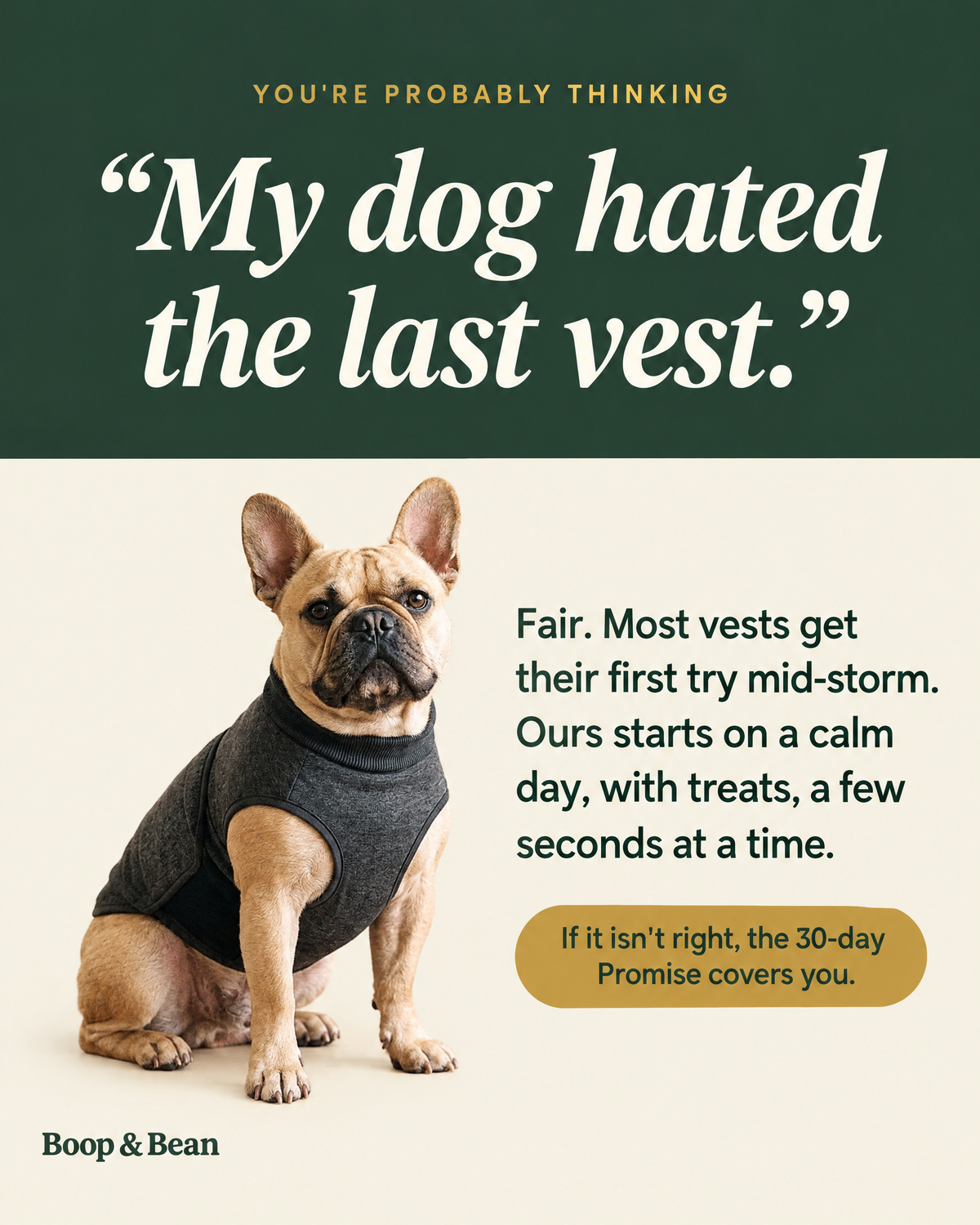 My dog hated the last vest: The Storm Kit is introduced on calm days, with treats, a few seconds at a time