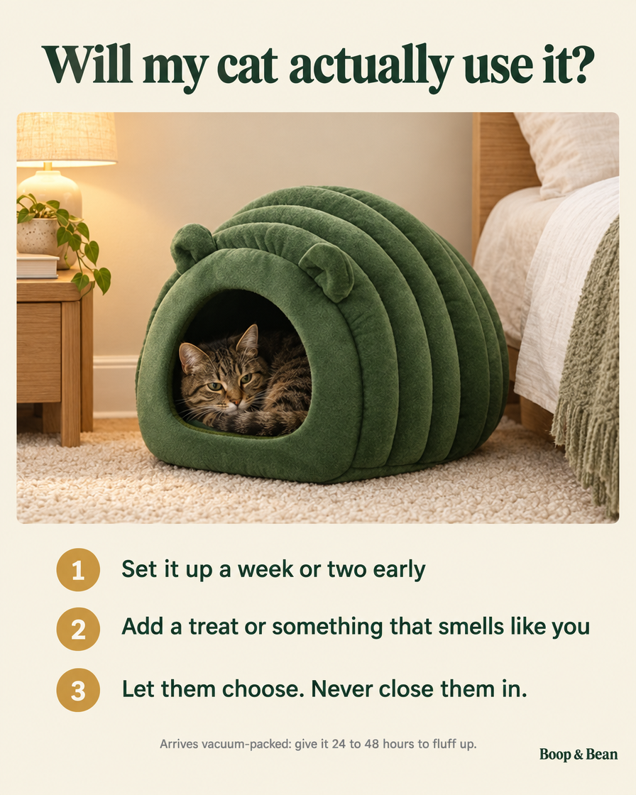 Will my cat actually use the Hideaway? Set it up early, add something that smells like you, and let them choose. Arrives vacuum-packed