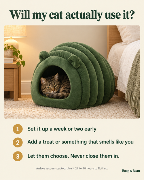 Will my cat actually use the Hideaway? Set it up early, add something that smells like you, and let them choose. Arrives vacuum-packed